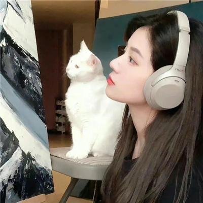 走钢丝的人